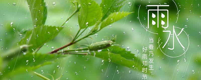 雨水节气不能回娘家吗 雨水节气时回娘家