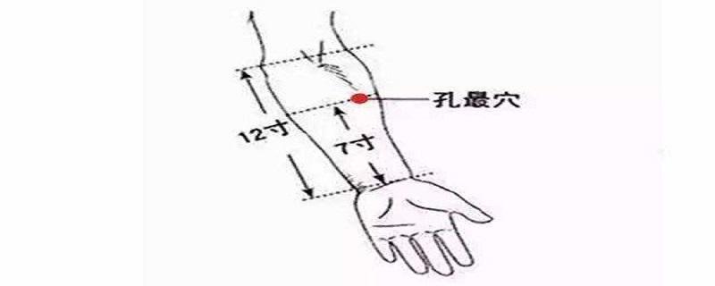 孔最的准确位置图和作用（孔最的准确位置图和作用痔疮）