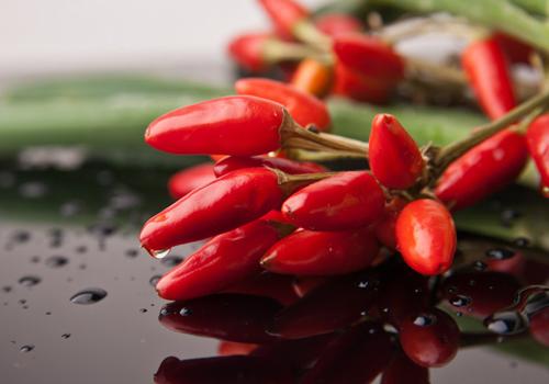 吃辣椒可以减肥吗 减肥期间可以吃辣椒吗
