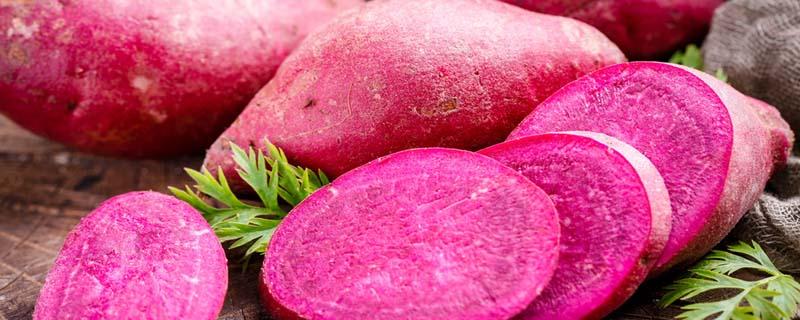 蒸紫薯多长时间熟 紫薯怎么蒸才不会干