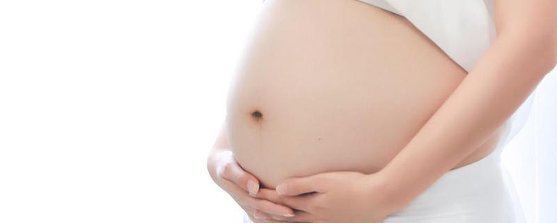 孕妇能不能吃地参根 参根孕妇能吃吗