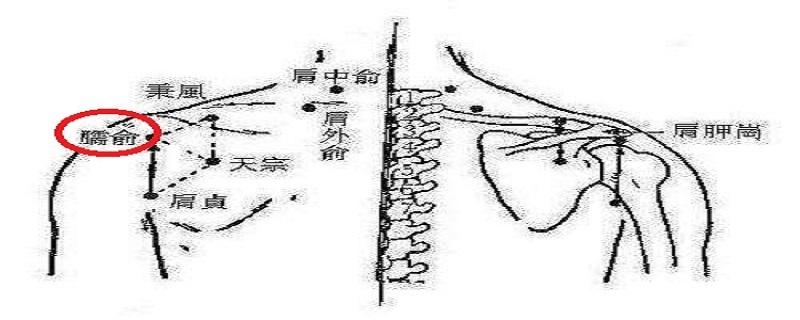 臑俞准确位置图（臑俞准确位置图和作用的准确位置图片）