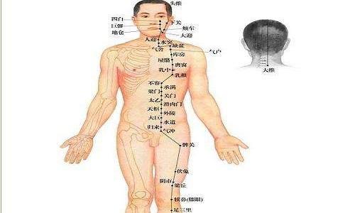 足阳明胃经按摩顺序