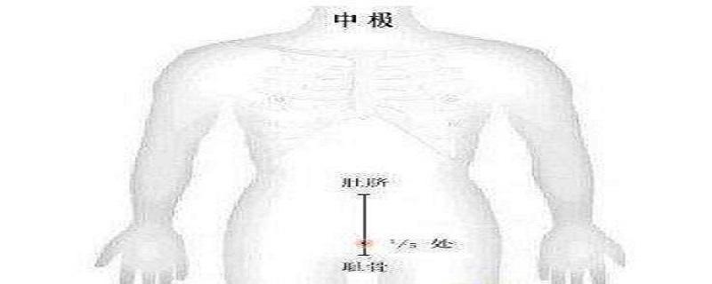 中极针刺方法和禁忌 中极可以针灸吗