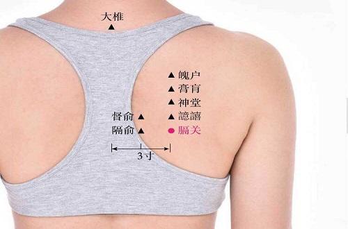 膈关的准确位置图（膈关的准确位置图和作用视频）