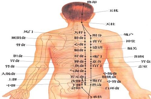 足太阳膀胱经的准确位置图（背部足太阳膀胱经的准确位置图）