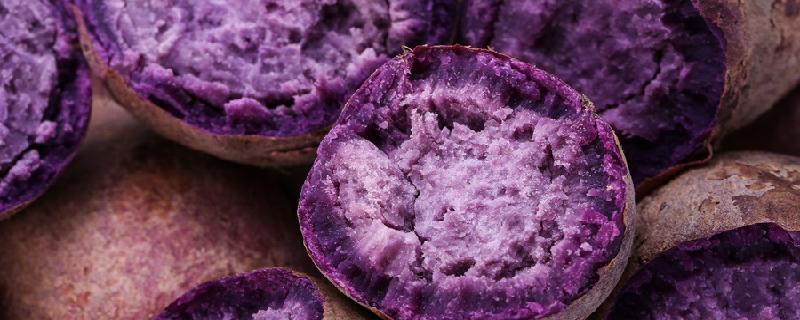 紫薯蒸多久就熟了 紫薯蒸着吃还是煮着吃