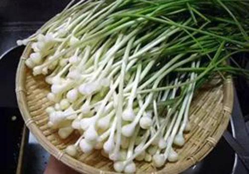 孕妇不能吃的野菜有哪些（孕妇野菜能吃吗）