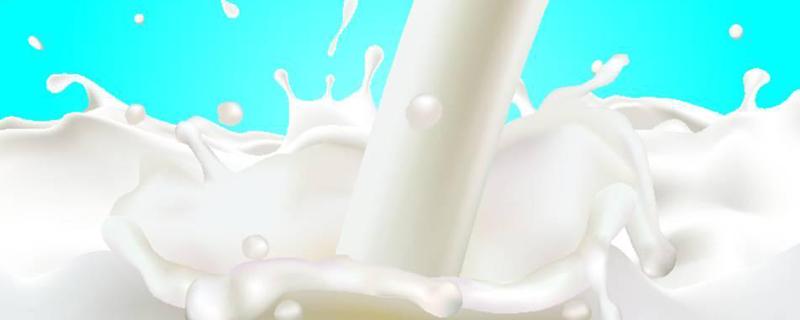 喝牛奶能长高吗（天天喝牛奶能长高吗）