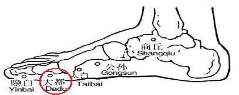 大都在什么位置图（大都的位置）