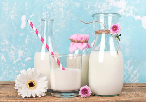 喝牛奶能丰胸吗 喝牛奶能丰胸吗?