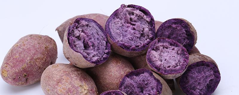 紫薯和什么不能一起吃 女性为什么不能吃紫薯