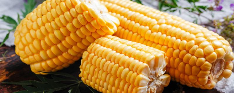 吃玉米会雌激素升高吗 哪些东西吃了会导致雌激素过高