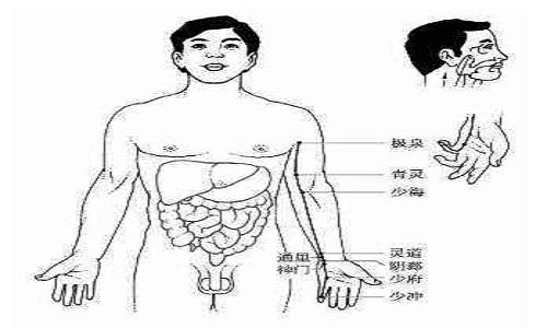 手少阴心经经络图 手少阴心经经络图片