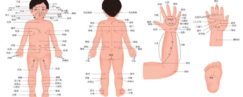 肺经能艾灸吗（艾灸肺经作用功效）