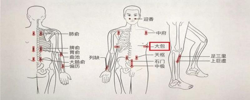 大包的准确位置及功效 大包的准确位置和功效