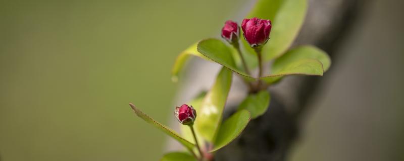 春分在每年的几月几日（春分是几月几日或几日）