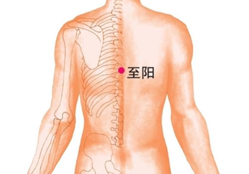 男性拔罐的位置图图解（男性壮阳拔罐的位置图）