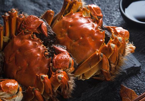 过敏性鼻炎能吃螃蟹吗 鼻炎过敏可以吃螃蟹吗