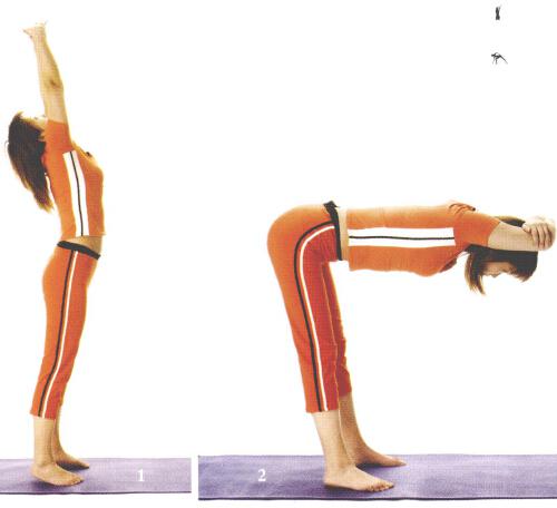 瘦肚子和腰的瑜伽动作（瑜伽体式瘦肚子和腰）
