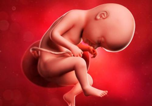 怀孕初期情绪激动会有什么后果（孕妇初期情绪激动对胎儿有什么影响）