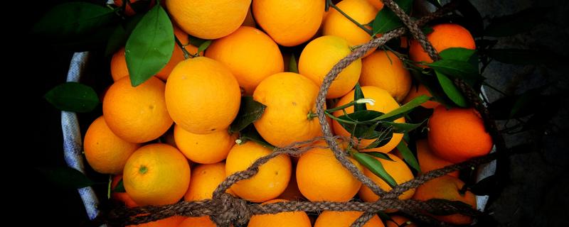 吃橙子会变黄吗（橙子多吃点会变黄吗?）