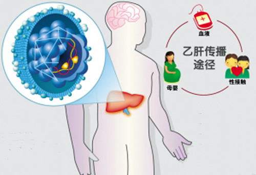 乙肝病毒携带者能生孩子吗（乙肝病毒携带者能生孩子吗?）