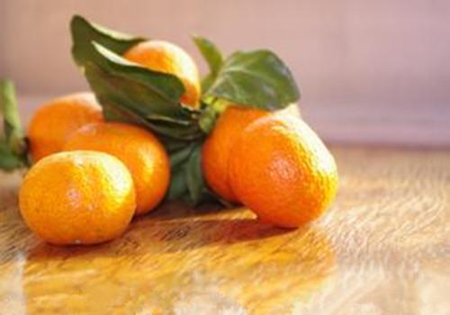 橘子能减肥吗（橘子有减肥效果吗）