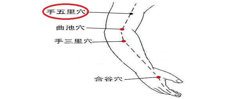 手五里的准确位置图 手五里的准确位置图作用功效