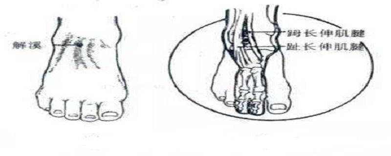 解溪的作用与好处 解溪的准确位置图以及作用与功效
