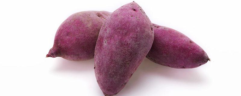 紫薯煮多久才可以熟 煮紫薯是水煮开后放吗