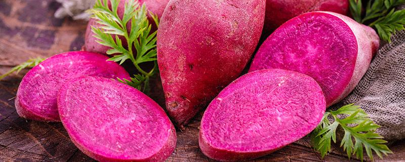 紫薯是不是转基因的 紫薯吃多了好吗
