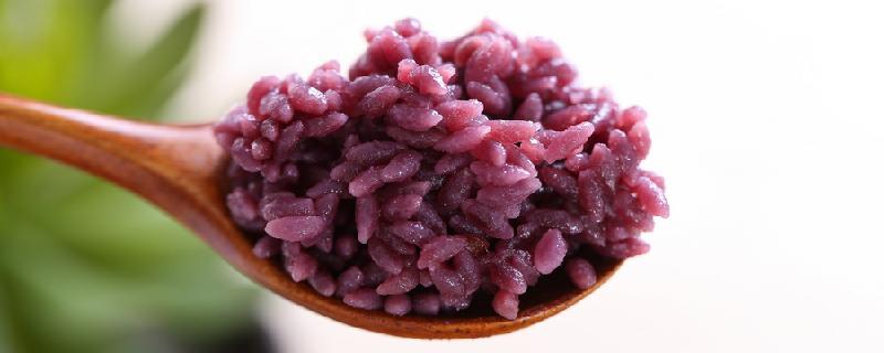 紫米和黑米哪个适合减肥吃 紫米和黑米哪个好