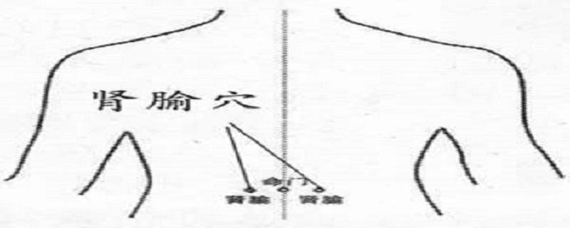 按摩肾俞的功效（怎样按摩肾俞有效）