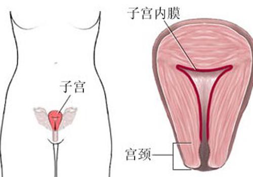 剖腹产后子宫多久恢复正常大小（剖腹产后多久子宫会恢复到正常大小?）