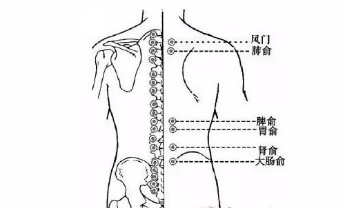 秋冬拔火罐（秋冬拔火罐好吗）