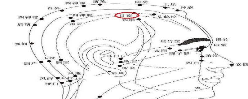 目窗作用和功效