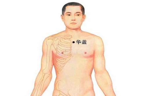 华盖的准确位置图作用 华盖的准确位置图片及作用