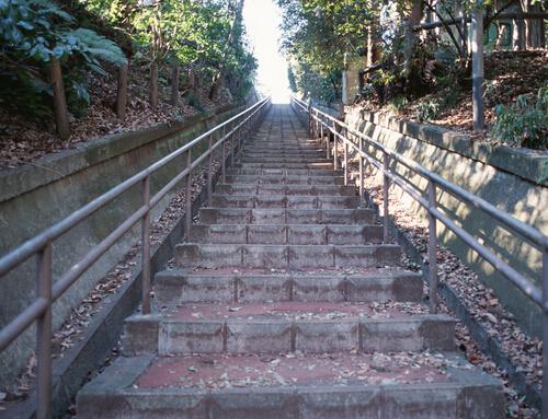 爬楼梯和跑步哪个减肥效果好 跑步和爬楼梯哪个更减肥