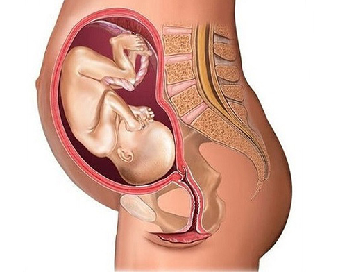 胎儿入盆是什么感觉（胎儿入盆是什么感觉和症状图片）