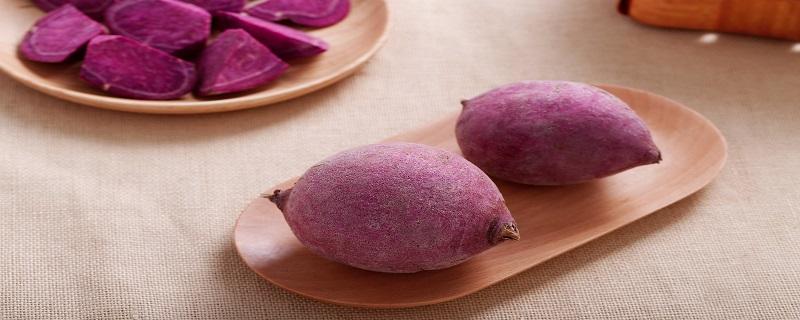 吃紫薯促进排便吗 紫薯怎么吃对身体好