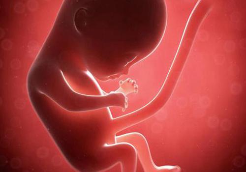 怀孕期间同房对胎儿有什么影响 孕妇同房有什么影响胎儿