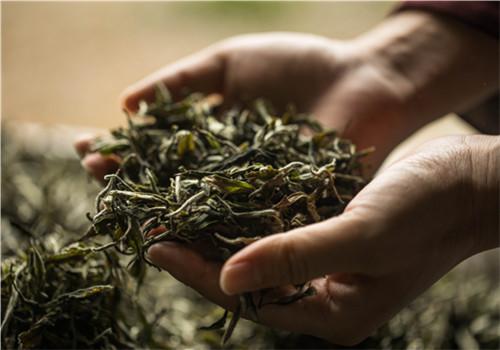 怎样选择茶叶 怎样选择茶叶销售渠道的策略