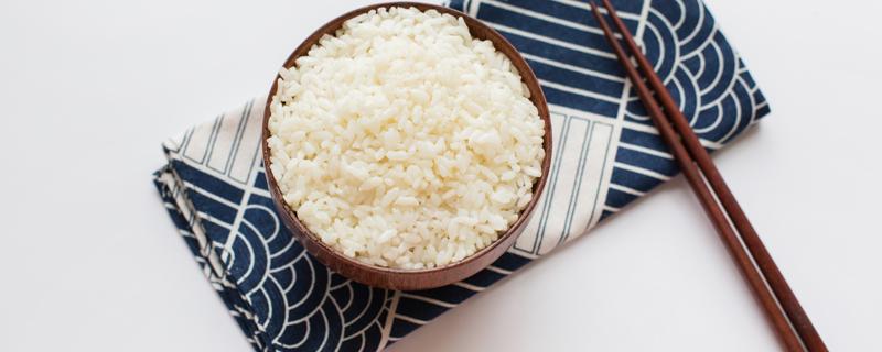 米饭热量低为什么会胖 米饭热量低为什么会胖很多