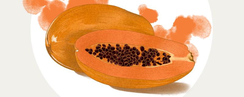 木瓜籽正确吃法 木瓜籽的正确吃法