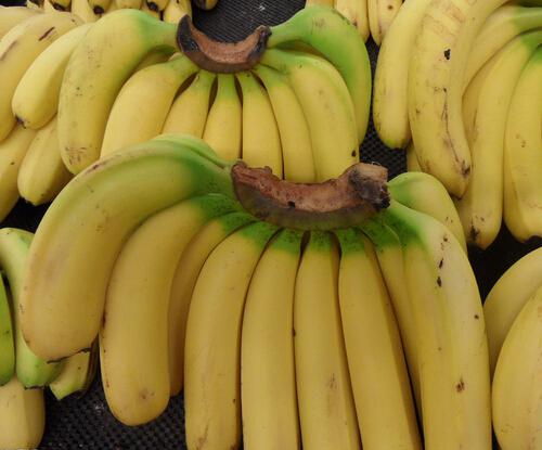 香蕉减肥法的副作用（香蕉有减肥功能吗）