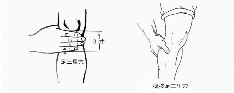 足三里在小腿什么位置（足三里在小腿什么位置?）