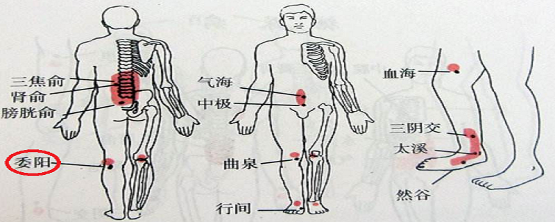 委阳疼是怎么回事（委中委阳疼怎么回事）