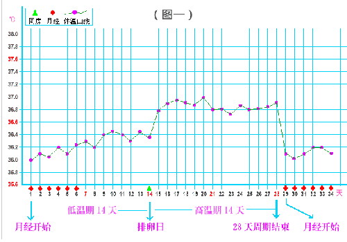 排卵期温度是多少 一般排卵期温度是多少