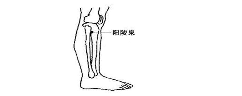 针灸阳陵泉作用（阳陵泉透阴陵泉针灸作用）